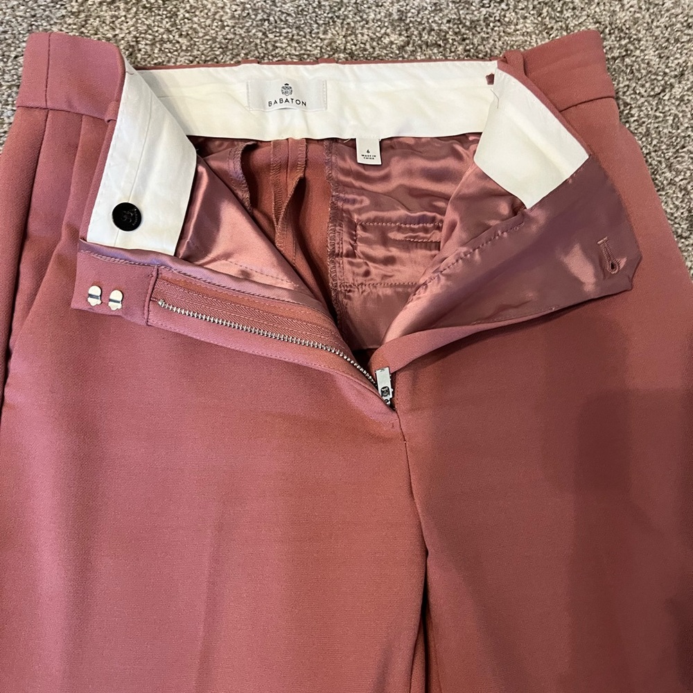 Aritzia Babaton dress pants - worn once
